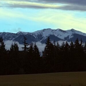 Meet your Posher, Cera.